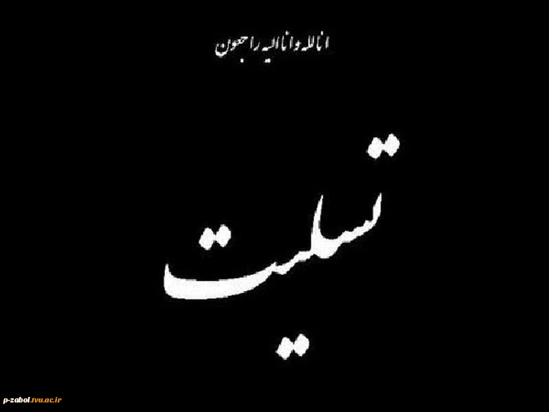 دانشگاهیان دانشگاه فنی و حرفه‌ای در پیامی شهادت جمعی از نیروهای جان‌برکف فراجا در شهرستان راسک استان سیستان و بلوچستان را تسلیت گفتند 2